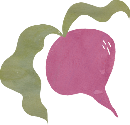 Rough Organic Radish